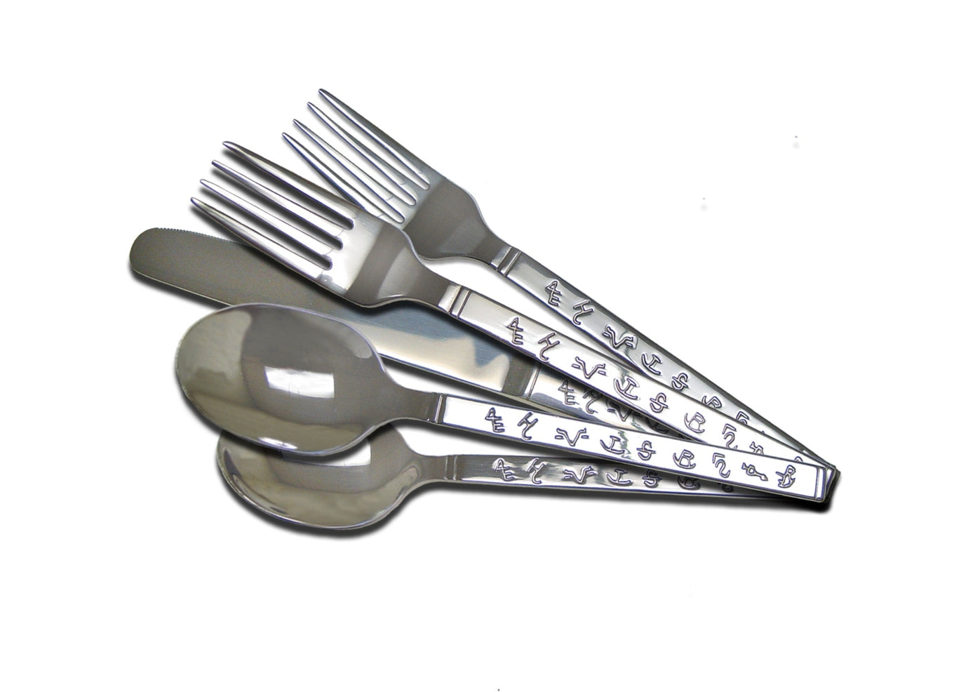 20 Piece Silverware Set in Brands Design