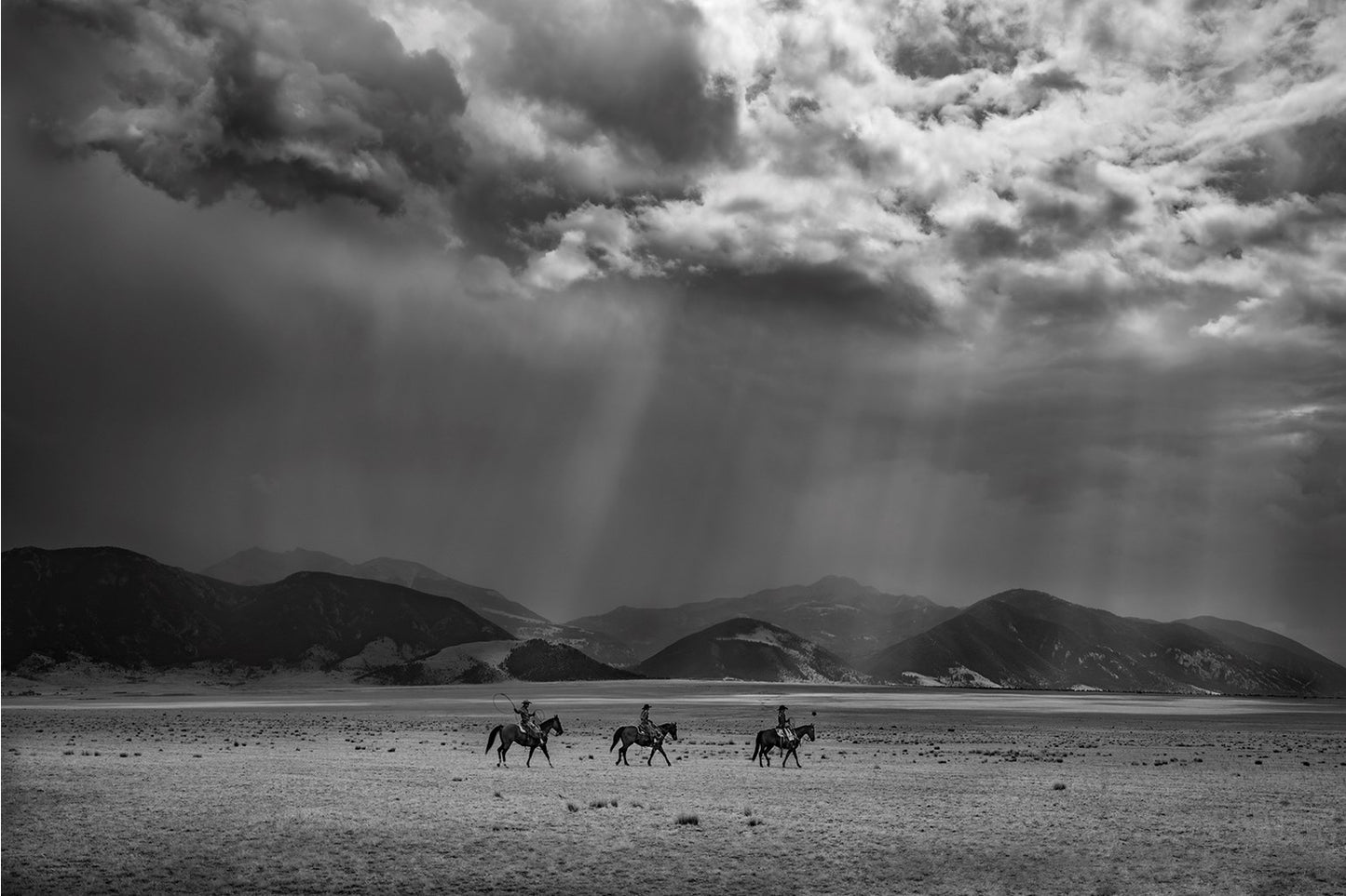 Frontier Cowboys of the Americas