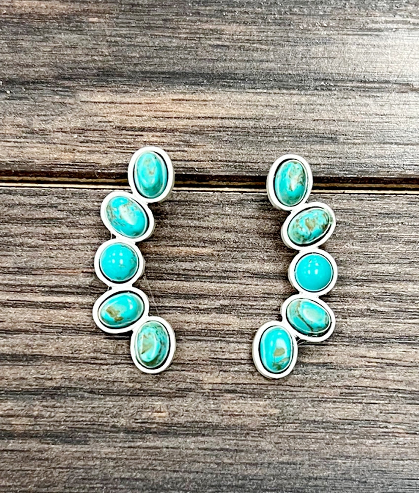 Stunning Turquoise Earrings