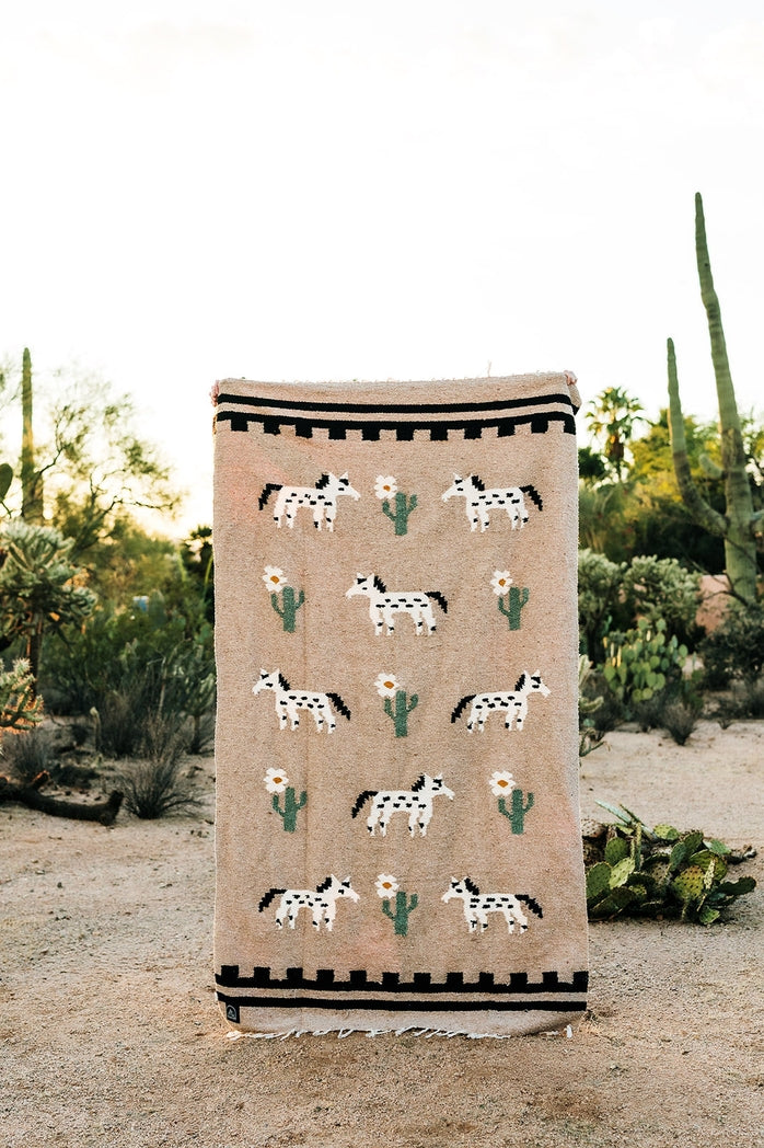 Painted Desert Handwoven Blanket