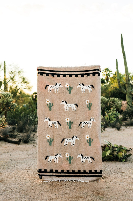 Painted Desert Handwoven Blanket