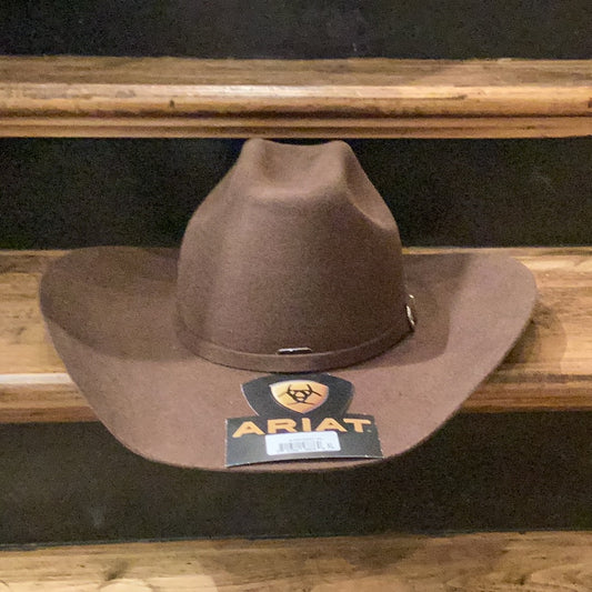 ARIAT YOUTH Brown Felt