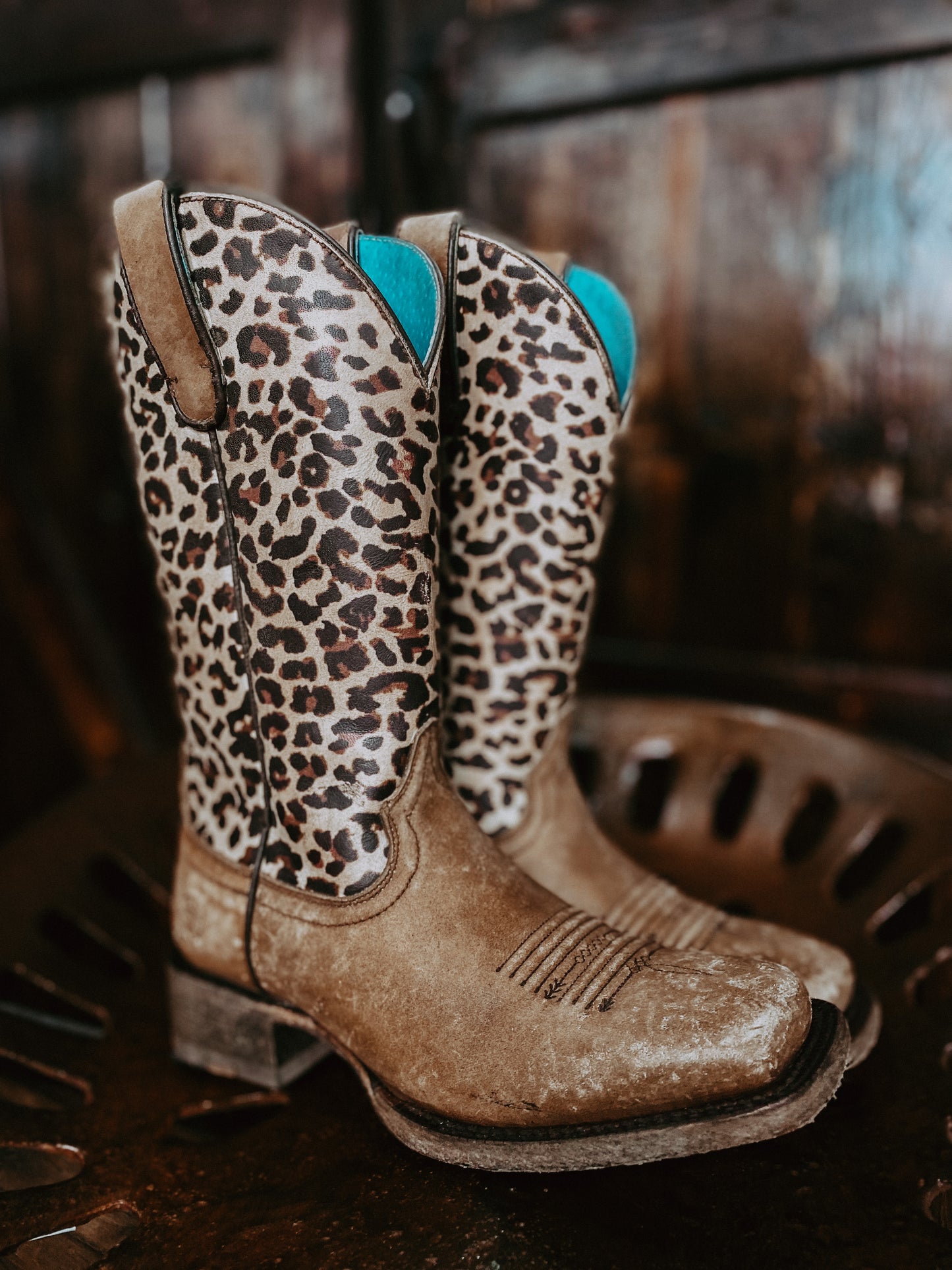 The Circuit Savanna Ariat Leopard Print Women's Boots